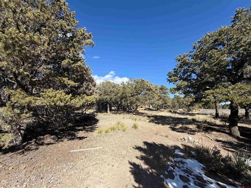 390 Cameron Pass Rd, South Fork, CO, 81154-9729 | Card Image