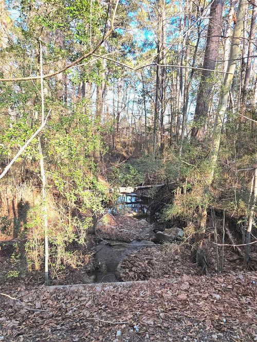 TBD Governor Wood Dr, Pointblank, TX, 77364 | Card Image