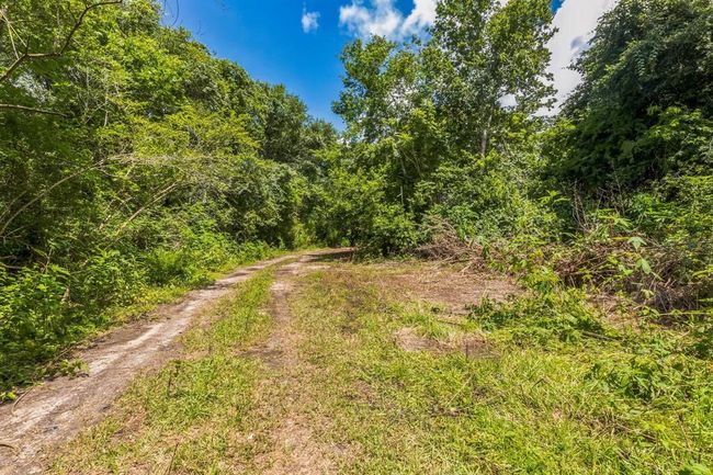 0 Davis Bend Rd, Home with 0 bedrooms, 0 bathrooms and null parking in Alvin TX | Image 18