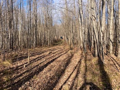 W 2O On School Rd, GLEN FLORA, WI, 54526 | Card Image