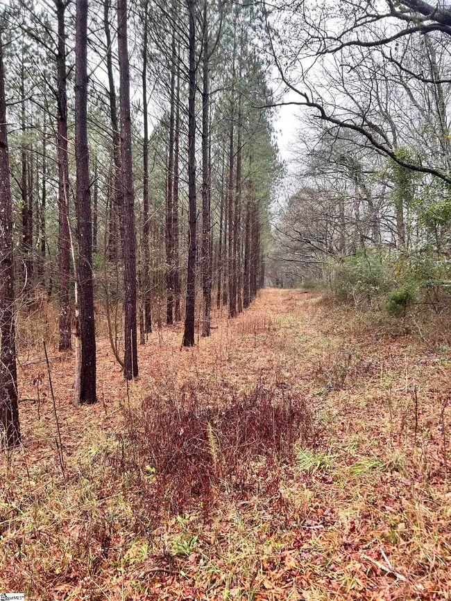 00 Columbia Rd, Home with 0 bedrooms, 0 bathrooms and null parking in Edgefield SC | Image 12