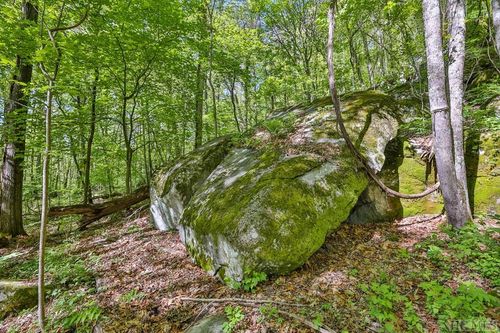 60 Elk Hair Drive, Tuckasegee, NC, 28783 | Card Image