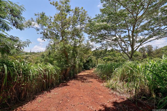 59-439 Alapio Rd, Home with 0 bedrooms, 0 bathrooms and null parking in Haleiwa HI | Image 17