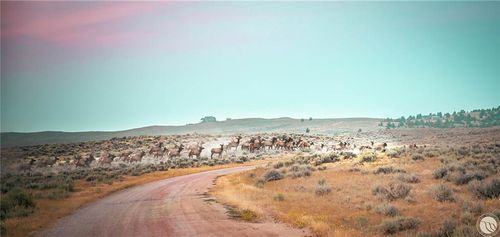 300 Acres N Dry Creek Road, Bridger, MT, 59014 | Card Image