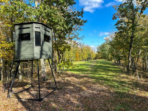 0 Ledbetter Hollow Rd, Linden, TN, 37096 | Card Image