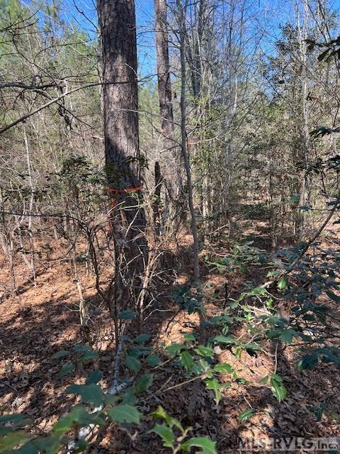 Land in Lawrenceville 5