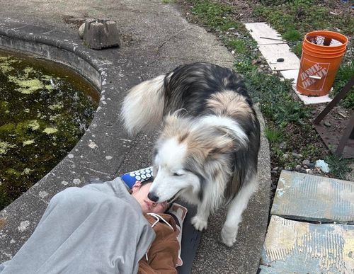 12211 Barnes Dr, Richmond, BC, V6V1H7 | Card Image