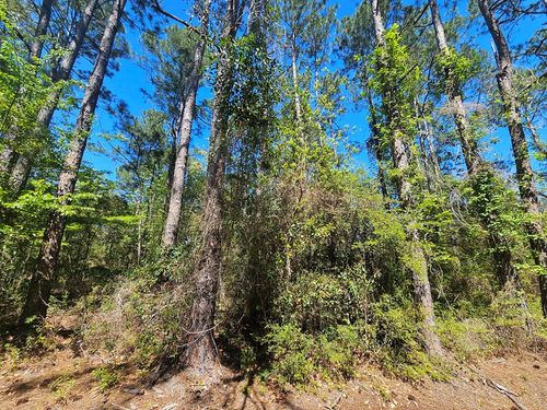 NHN Carroll St, Waveland, MS, 39576 | Card Image