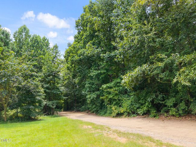 11-web-or-mls-11_DJI_20250801124933_0244 | Image 4