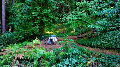 21899 Mesa Grande Ter, Monte Rio, CA, 95462-9509 | Card Image