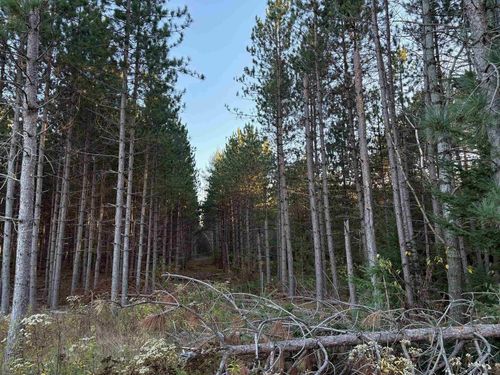Lot 2 Plantation Rd, Pelican Lake, WI, 54463 | Card Image