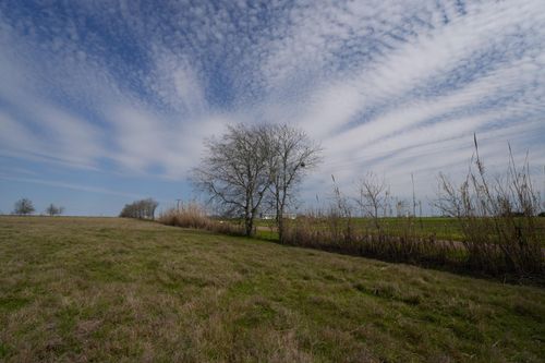 1011 Fm 956, Schulenburg, TX, 78956-5515 | Card Image