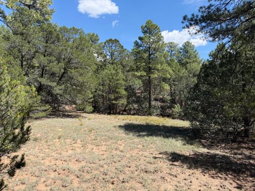 137 Raven Rd, Tijeras, NM, 87059-8015 | Card Image