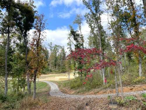 lot-6-5786 Sr 781, Peebles, OH, 45660 | Card Image