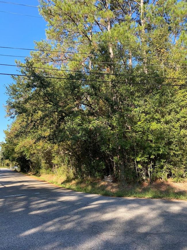 00 Elm St, Home with 0 bedrooms, 0 bathrooms and null parking in Picayune MS | Image 4