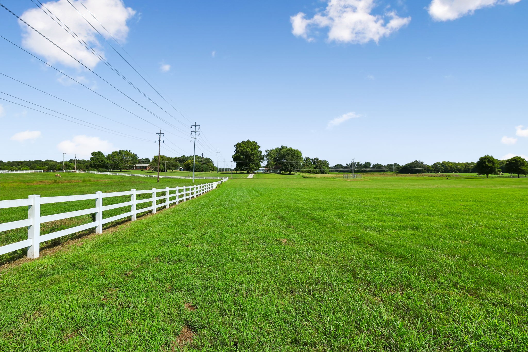 Land in Winchester 5