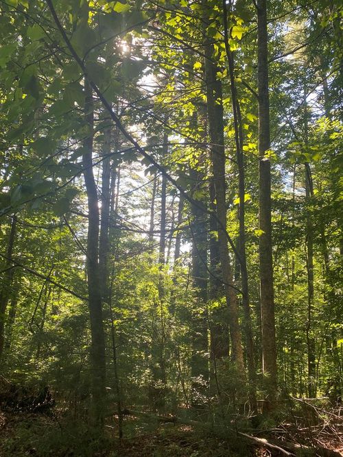 Lot 35 Middle Creek Rd, Blairsville, GA, 30512-8931 | Card Image