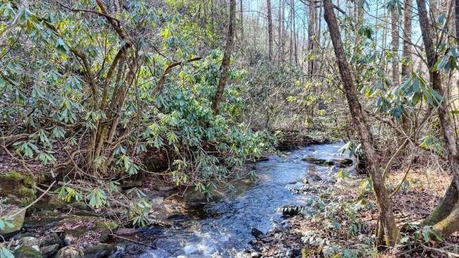 2830 Owl Creek Rd, House other with 4 bedrooms, 3 bathrooms and 3 parking in Murphy NC | Image 5
