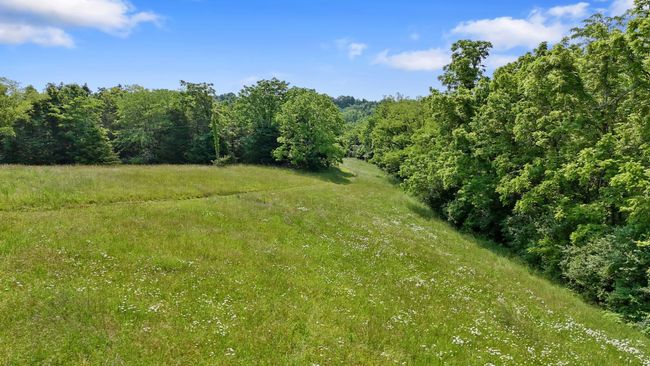 1649 Mudlick Rd, Home with 0 bedrooms, 0 bathrooms and null parking in Cynthiana KY | Image 17