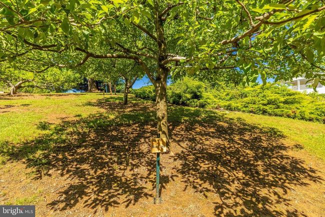 9632 Harmony Rd, House other with 3 bedrooms, 2 bathrooms and null parking in MYERSVILLE MD | Image 38