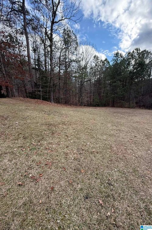 223-808 Ballantrae Pkwy, PELHAM, AL, 35124-6203 | Card Image