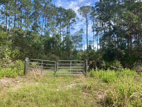 160 Edgemere Dr, GEORGETOWN, FL, 32139-2204 | Card Image