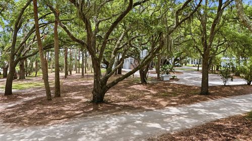14 Hammocks Way, Edisto Island, SC, 29438-6939 | Card Image