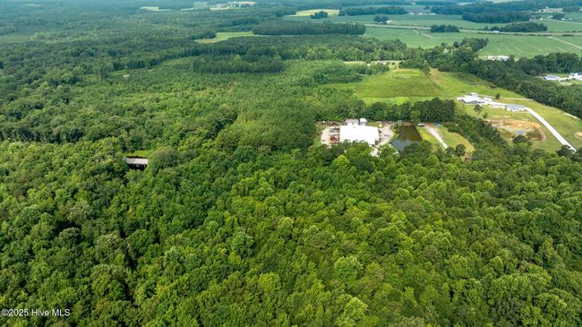 0 Great Swamp Loop, Home with 0 bedrooms, 0 bathrooms and null parking in Lucama NC | Image 8
