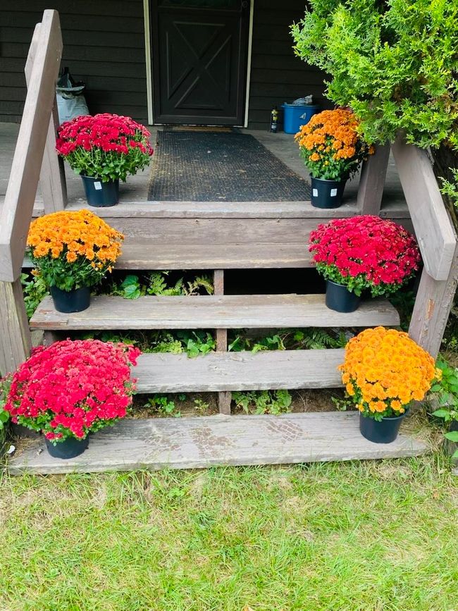 112 Breezy Acres Dr, House other with 4 bedrooms, 2 bathrooms and null parking in Vernon VT | Image 46