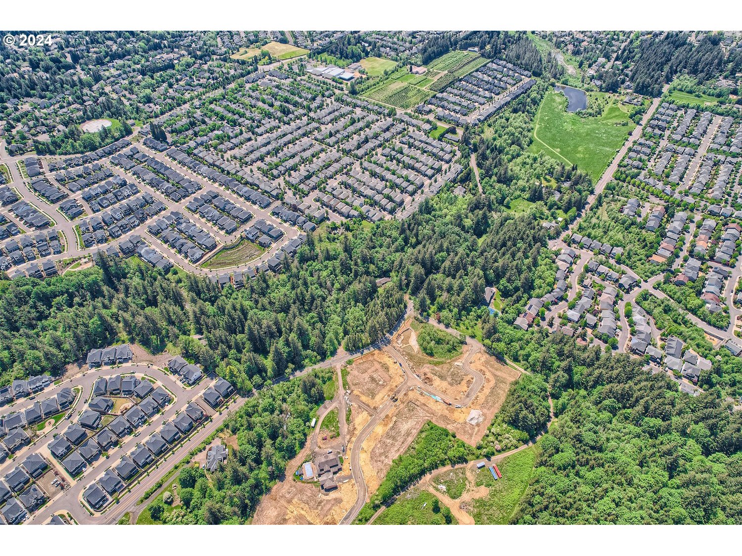 Land in Portland 5