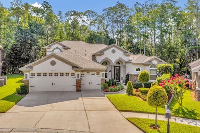 14117 Lincolnshire Court, House other with 5 bedrooms, 4 bathrooms and null parking in TAMPA FL | Image 1