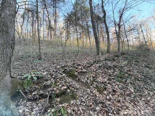 4 Gibson Rd, Strawberry Plains, TN, 37871 | Card Image