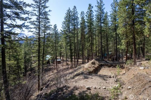 94 Homestead Rd, Winthrop, WA, 98862-9771 | Card Image