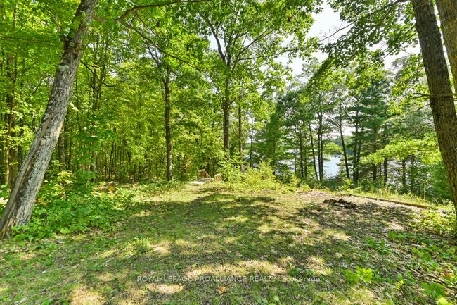 1091 Lindey Lane, House other with 3 bedrooms, 1 bathrooms and 8 parking in North Frontenac ON | Image 28