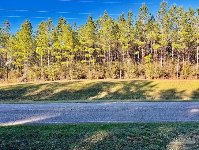 Lot 2-RS Hwy 182, Home with 0 bedrooms, 0 bathrooms and null parking in Jay FL | Image 17