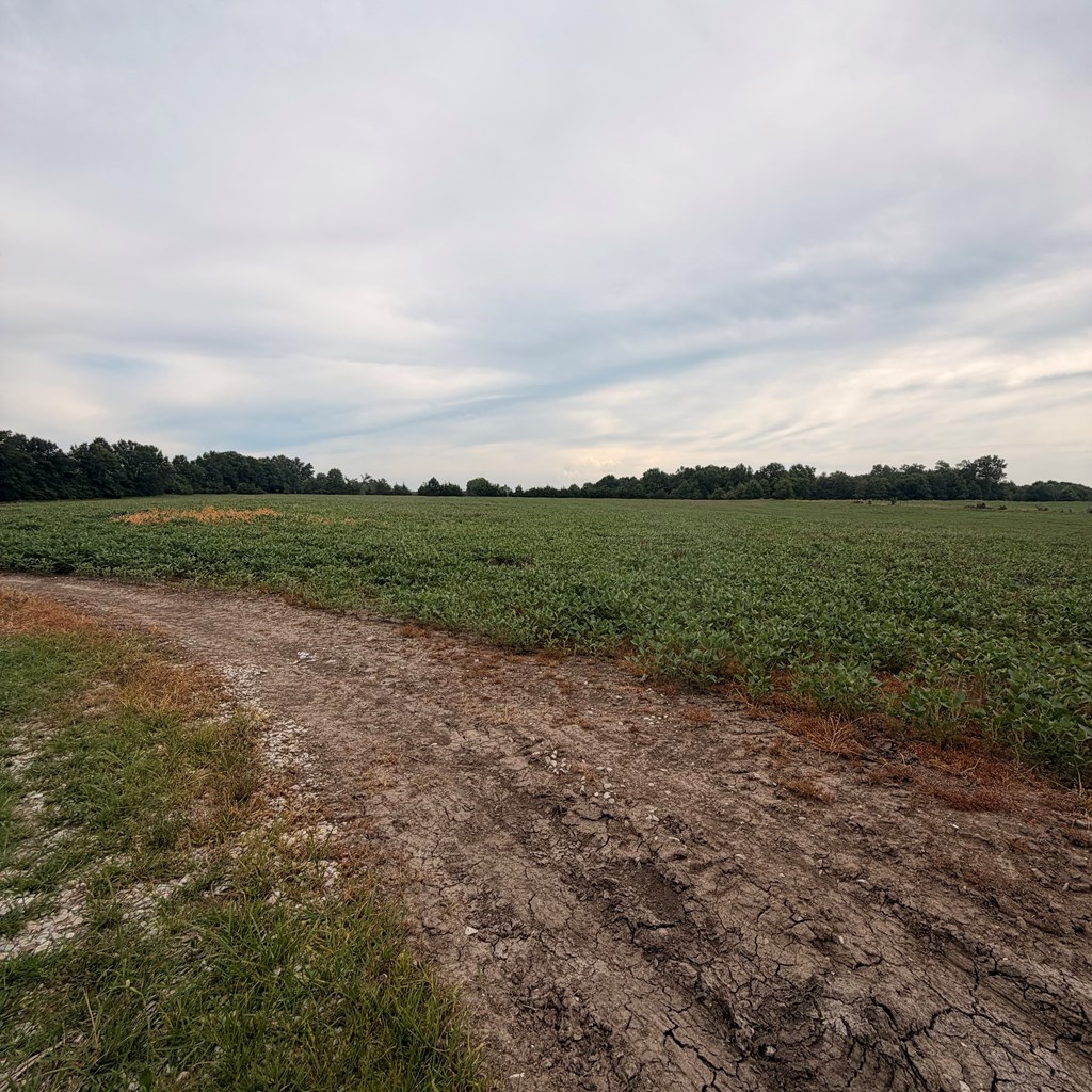 Land in Macon