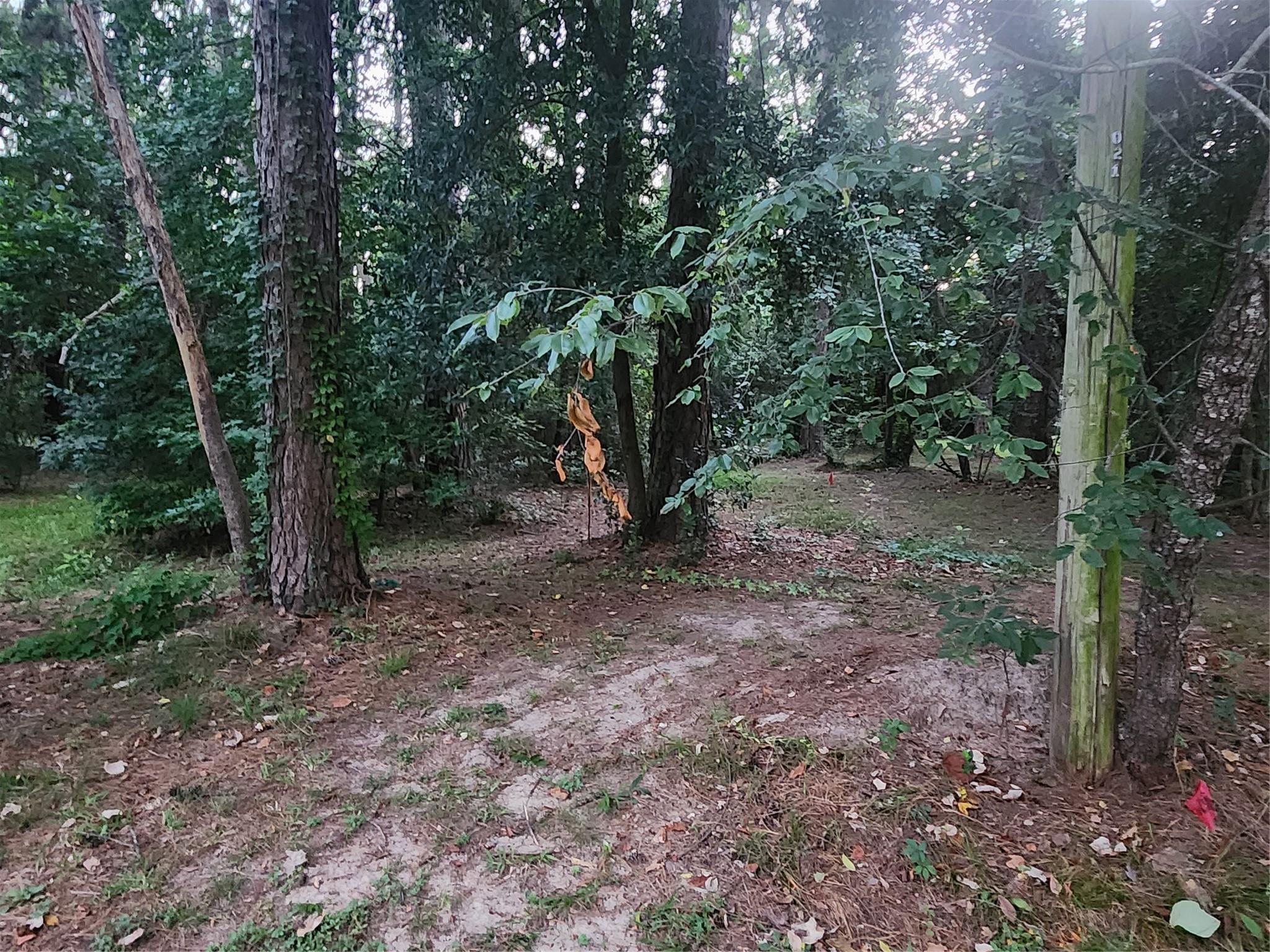 Land in Willis 4