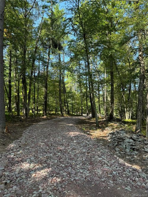 2 Evergreen Ln, Narrowsburg, NY, 12764-5807 | Card Image