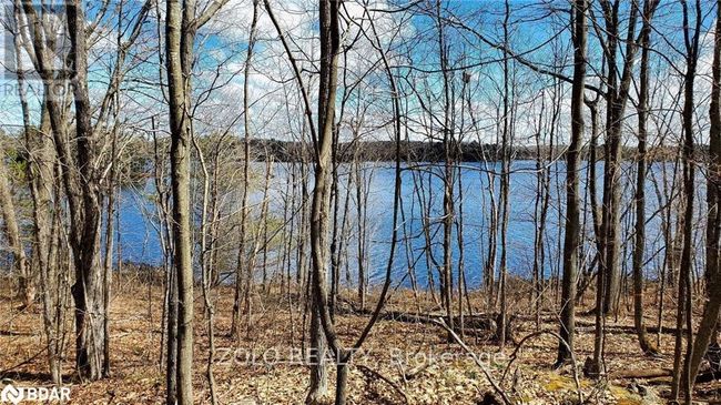 18 Hawkins Point Road, Home with 0 bedrooms, 0 bathrooms and null parking in Georgian Bay (Freeman) ON | Image 5