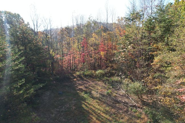 DJI_0009 | Image 10