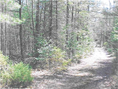 1328 Deer Haven Road, Wesley, ME, 04686 | Card Image