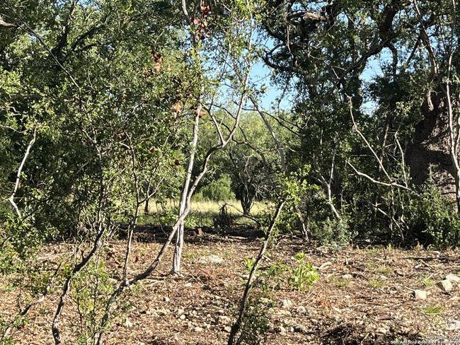 0 Rolling Crk, Home with 0 bedrooms, 0 bathrooms and null parking in Spring Branch TX | Image 13