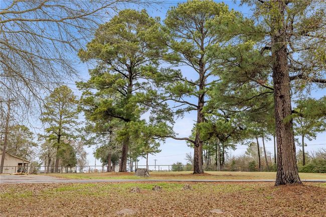 View of yard with fence | Image 23
