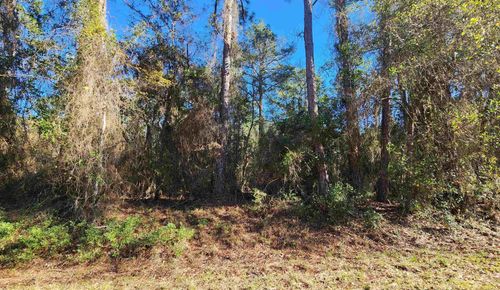 131 Georgetown Denver Rd, GEORGETOWN, FL, 32139-2611 | Card Image