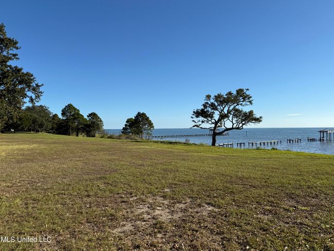 Back yard | Image 37