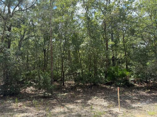 109 Pinellas St, Florahome, FL, 32140 | Card Image