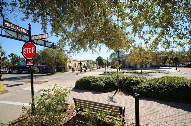 Drive Your Golf Cart to Vibrant Downtown Dunedin! | Image 74