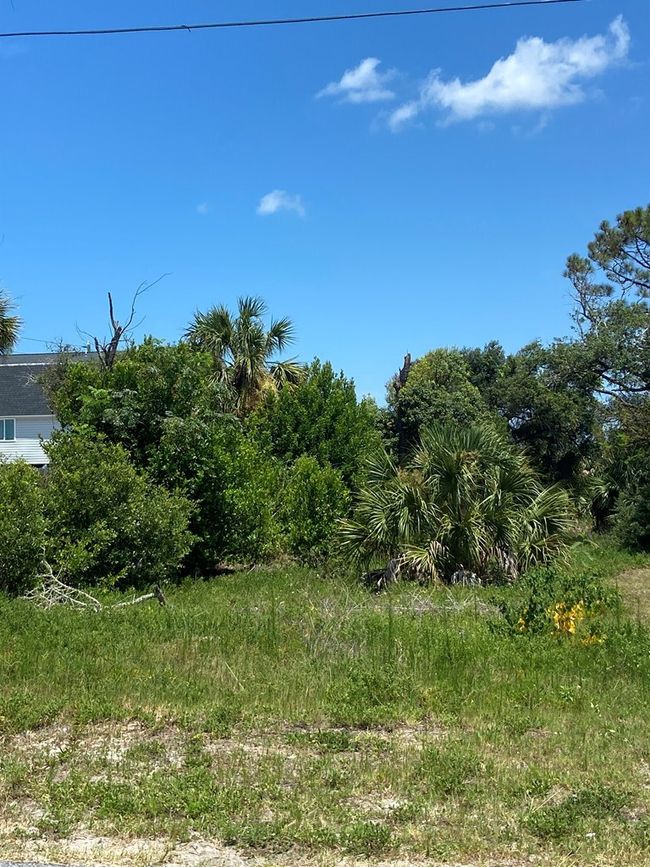 117 Atlantic St, Home with 0 bedrooms, 0 bathrooms and null parking in Port St. Joe FL | Image 19