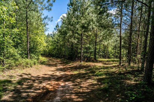 3 Green Creek Rd, SCHUYLER, VA, 22969 | Card Image