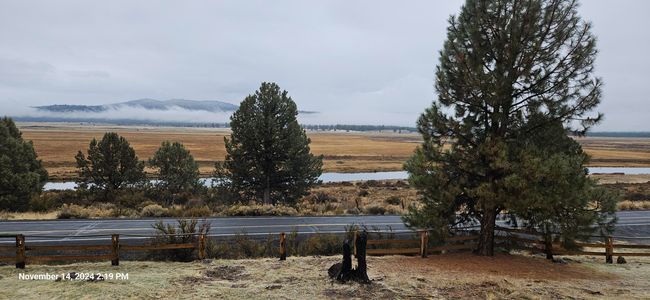 View | Image 20